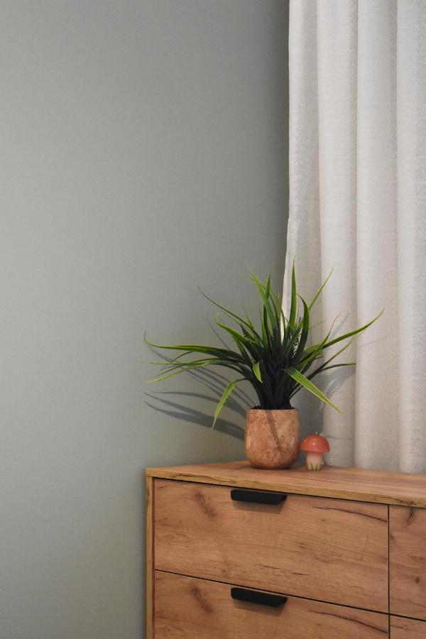 Apartment Vibrant